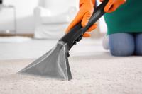 Carpet Mould Damage Removal Sydney image 1